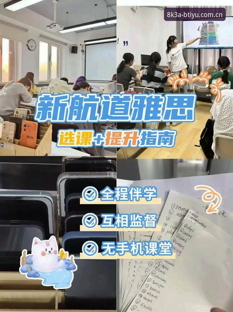 B体怎么下载？从官网入口到安装全程指南