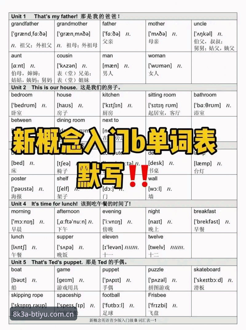 B体育官网入口实用指南：B体最新版下载2026全新升级体验